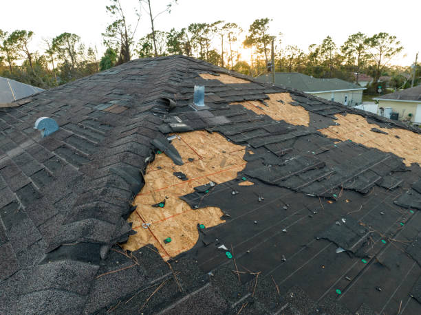 Best Skylight Installation and Repair  in Pinewood Estates, TX